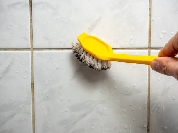 Best Professional Mold Removal  in Freedom, PA