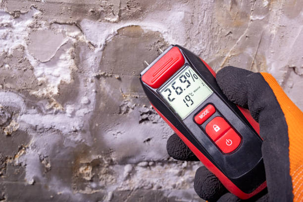 Trusted Freedom, PA Mold Removal Experts